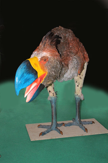 Diathrima